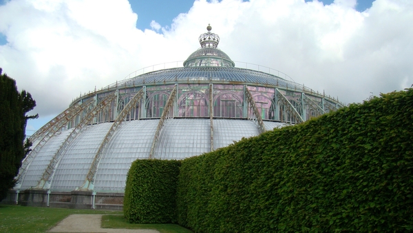 2014 Koninlijke serres in Laken