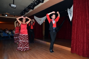 151 Torrox Flamenco avond in hotel