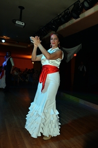 160 Torrox Flamenco avond in hotel