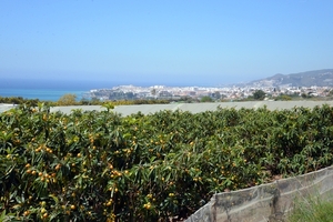 307 Nerja wandeling van de grotten naar de stad