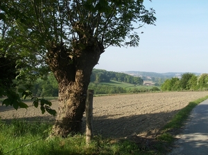Nukerke Mei 2014 029