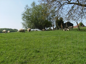 Nukerke Mei 2014 057