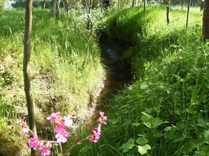 Nukerke Mei 2014 058