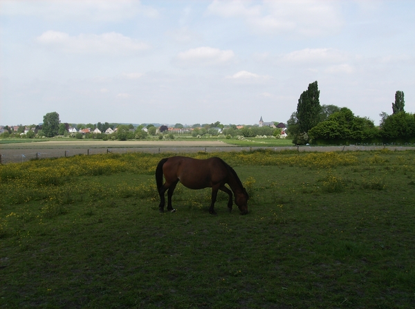 Nukerke Mei 2014 059