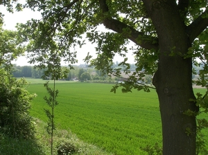Nukerke Mei 2014 060