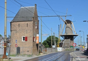 MOLEN DELFT 20150721_1