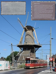 MOLEN DELFT 20150721_2