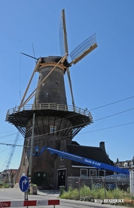 MOLEN DELFT 20150721_5