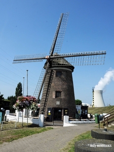 MOLEN LILLO 20150806_1