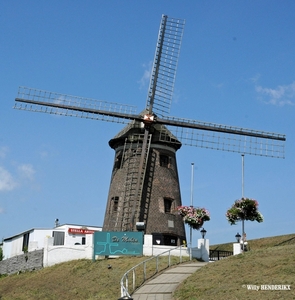 MOLEN LILLO 20150806_3