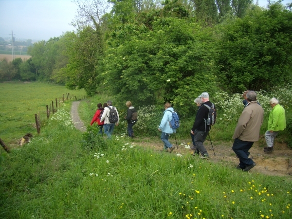 2014-05-01 KKT Oude Kwaremont_0075