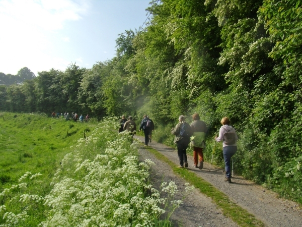 2014-05-01 KKT Oude Kwaremont_0078