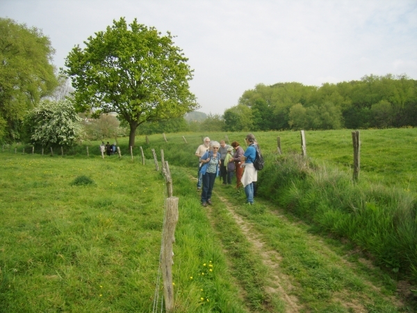 2014-05-01 KKT Oude Kwaremont_0085