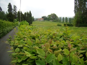 2014-05-01 KKT Oude Kwaremont_0108