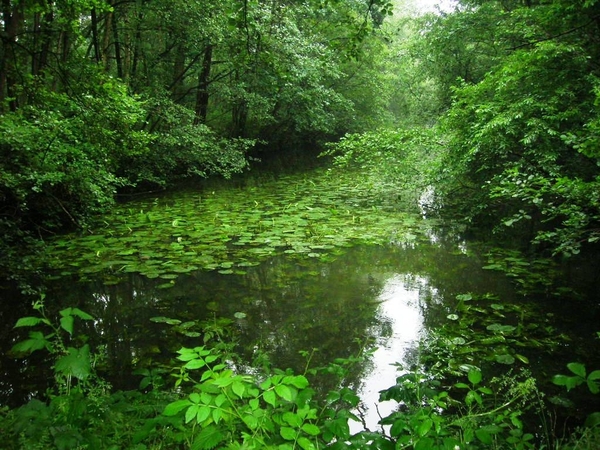 Schilde antitankkanaal