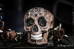Tattoo Conventie Hamme 2014_MG_9707-9707-bewerkt