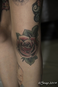 Tattoo Conventie Hamme 2014IMG_0415-0415