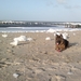 winterzon