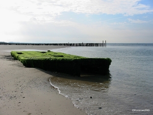 1-102-0201_IMG