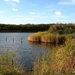 1-IMG_0056