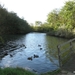 1-IMG_0064