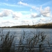 1-IMG_0038