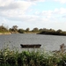 1-IMG_0060