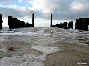 1-IMG_0186