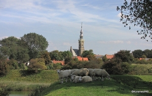 1-IMG_3531