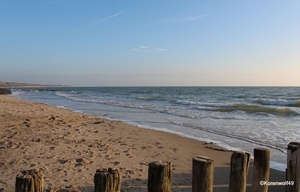 1-IMG_3748