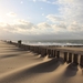 1-IMG_4012