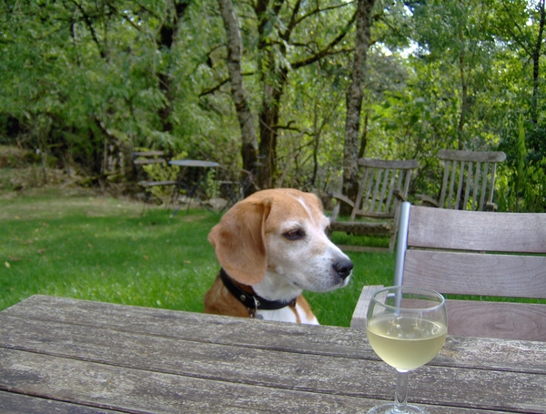 Chambres d'Hotes 003