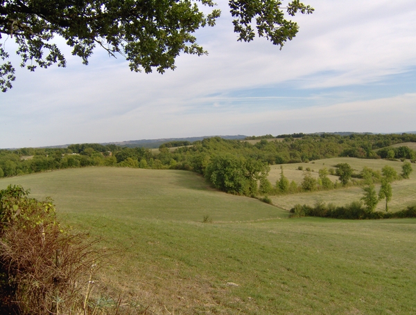 Chambres d'Hotes 033