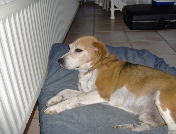 Chambres d'Hotes 069