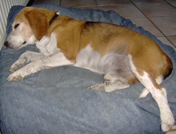 Chambres d'Hotes 070