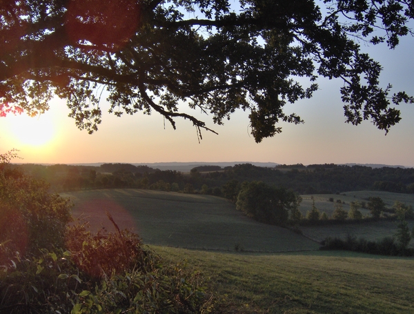 Chambres d'Hotes 075