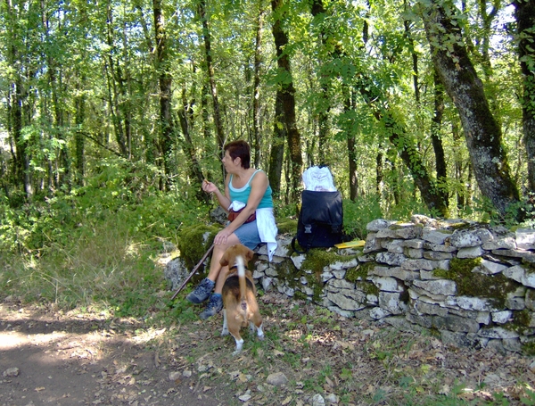 Chambres d'Hotes 081