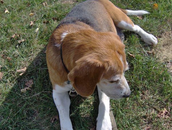 Chambres d'Hotes 089