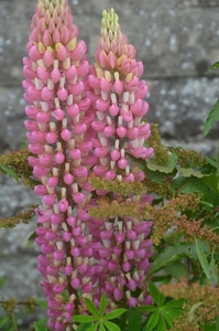 073
