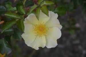 046