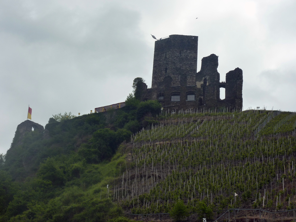 Burcht in Beilstein