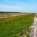 DSCN0959