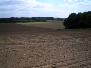 mysterieuze reuze hoefijzers aan Roeters