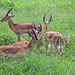 sized_IMG_7758-B