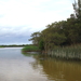 MET EEN BOOTJE DOOR DE WETLANDS IN ST LUCIA