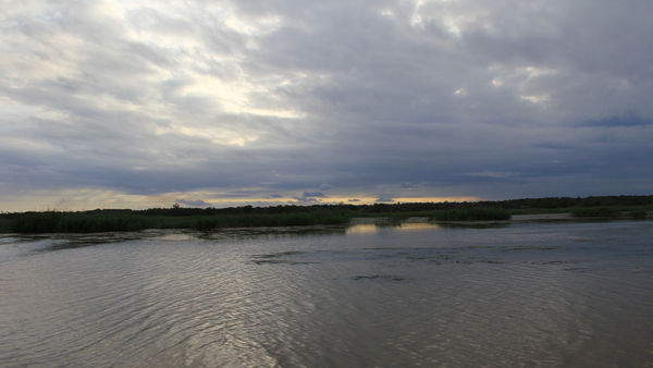 DE WETLANDS IN HET AVONDLICHT