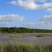 UITZICHT OVER DE WETLANDS IN ST LUCIA (1)