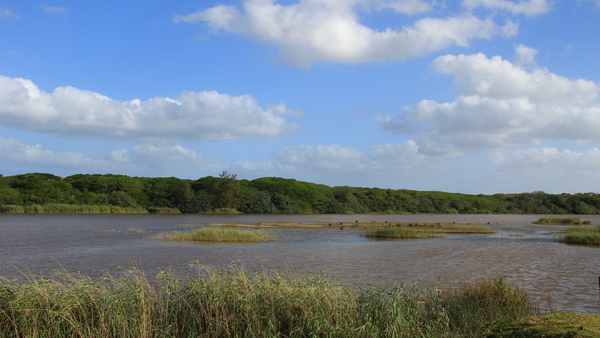 UITZICHT OVER DE WETLANDS IN ST LUCIA (1)