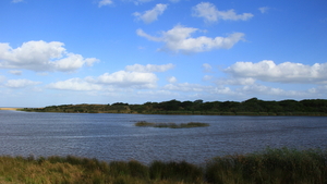 UITZICHT OVER DE WETLANDS IN ST LUCIA (2)