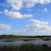 UITZICHT OVER DE WETLANDS IN ST LUCIA (3)